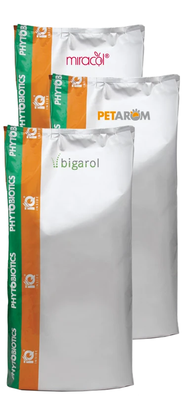 miracol bigarol petarom packs