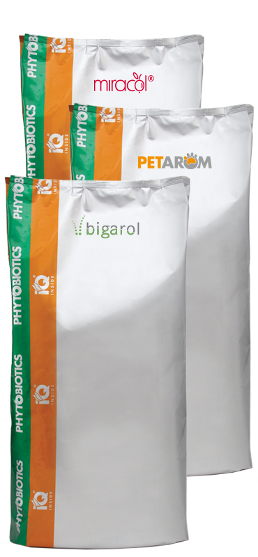 miracol bigarol petarom packs